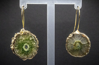 Green Agate Slice Earrings