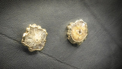 Beige Agate Slice Stud Earrings